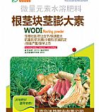 �����龥�����