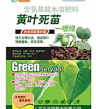 ��Ҷһ����