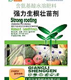 ǿ������׳���